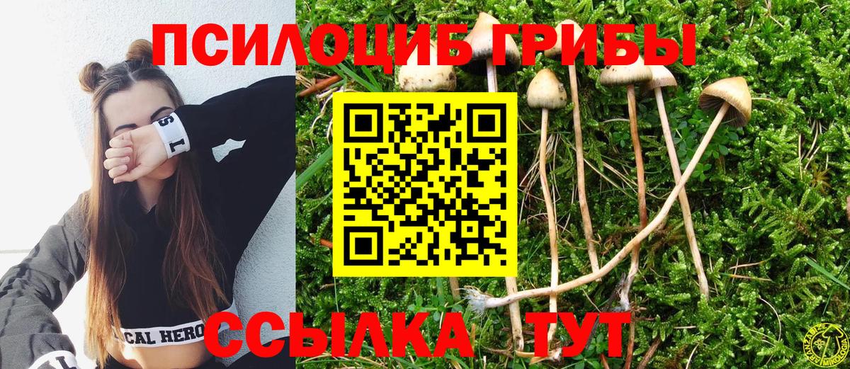 Фрязино  Галлюциногенные грибы прущие грибы  Вход с VPN 